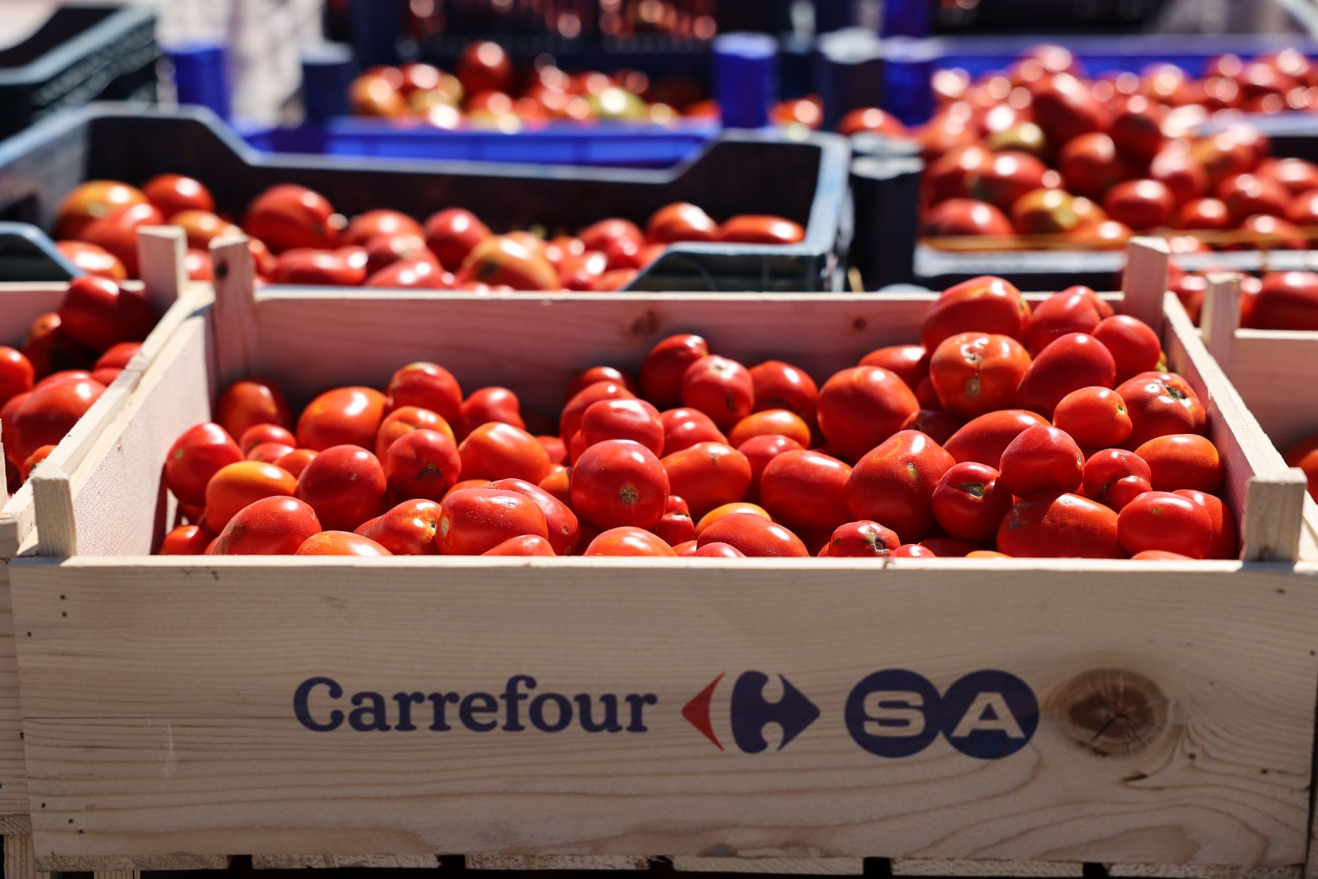 carrefoursa-alışveriş
